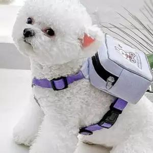고양이 등산 가방 하네스 강아지 리드줄