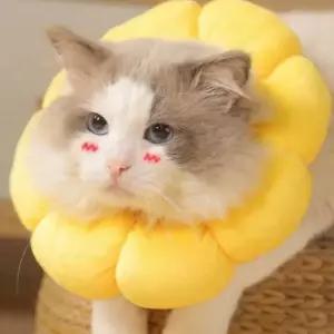 고양이 넥카라 강아지 깔대기 쿠션 목보호대 노랑 L