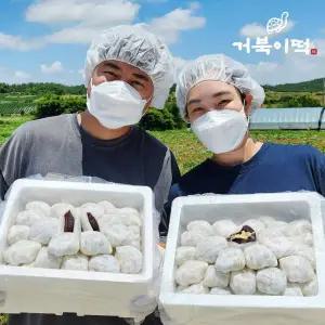 [거북이떡]직접농사지은 찹쌀모찌 옛날 찹쌀떡 2.5kg (35개입)