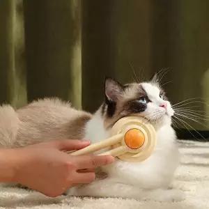 [와인앤쿡]고품질 TBZ 펫 털관리 원터치 브러쉬 1개 눈꼽빗 강아지브러쉬 펫 얼굴빗 WFM3FXM