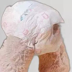 애견카페 장거리이동 반려견 매너벨트 기저귀 샘방지