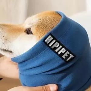 애견 넥워머