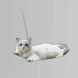 공간활용 고양이 윈도우 해먹 창틀해먹 고양이선반