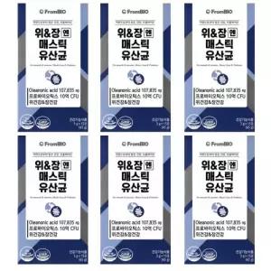 프롬바이오 위장엔 매스틱 유산균 15포 6박스 위장엔 위앤장 위엔장 포자유산균