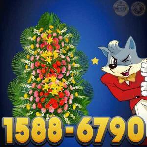 031-893-8020 안양더그레이스켈리안양웨딩홀 결혼식화환 1E축하문구 리본