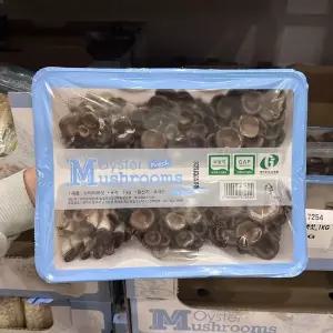 [글로벌푸드]코스트코 무농약 느타리버섯 1kg