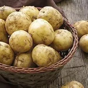 [신세계라이브쇼핑]국내산 포슬포슬 햇 수미감자 10kg 대(90-130g 내외)