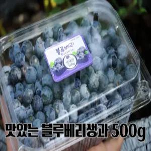 한입 가득 왕 블루베리 생과 대과 17mm 고당도 500g
