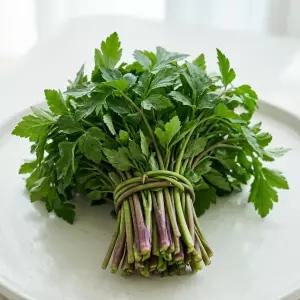 무등산 돌미나리 2kg