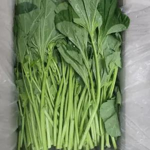 의령농산 건강채소 국내산 아욱 1kg/2kg
