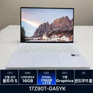 LG전자 LG그램 17Z90T-GA5YK RAM 16GB 256GB + 2TB 개봉 추가 N