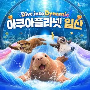 [일산] 아쿠아플라넷 다흑기획전 입장권(6/1~6/30)