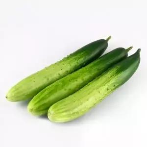 국내산 백다다기 백오이 특품 10kg