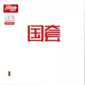 DHS 허리케인3 국광 (오렌지스펀지) / 광풍3 / 중국국가대표 점착 러버