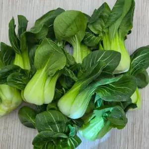 청경채 2kg 특
