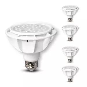 블링라이트 VO LED PAR30 15W 집중형 화이트, 주백색, 5개,MP