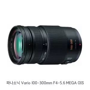 lin 파나소닉 Vario 100-300mm F4-5.6 MEGA OIS/ 중고