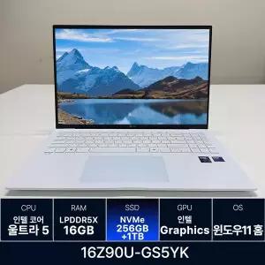LG전자 그램 프로 16Z90U-GS5YK RAM 16GB 256GB + 1TB 추가