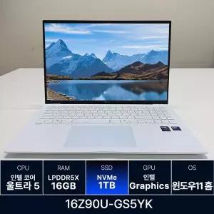 LG전자 그램 프로 16Z90U-GS5YK RAM 16GB 1TB 교체
