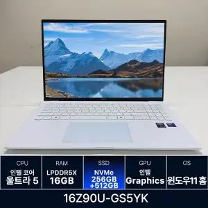 LG전자 그램 프로 16Z90U-GS5YK RAM 16GB 256GB + 512GB 추가