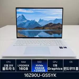LG전자 그램 프로 16Z90U-GS5YK RAM 16GB 256GB + 256GB 추가
