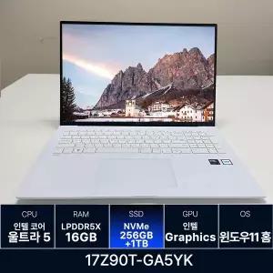 LG전자 LG그램 17Z90T-GA5YK 16GB 256GB + 1TB 추가