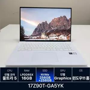 LG전자 LG그램 17Z90T-GA5YK RAM 16GB 256GB + 256GB 추가