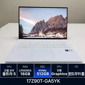 LG전자 LG그램 17Z90T-GA5YK RAM 16GB 512GB 교체