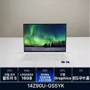 LG전자 LG그램 14Z90U-GS5YK RAM 16GB 256GB + 512GB 추가