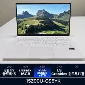 LG전자 LG그램 15Z90U-GS5YK RAM 16GB 256GB + 1TB 추가