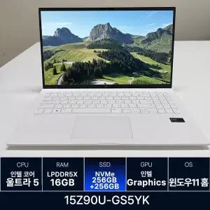 LG전자 LG그램 15Z90U-GS5YK RAM 16GB 256GB + 256GB 추가