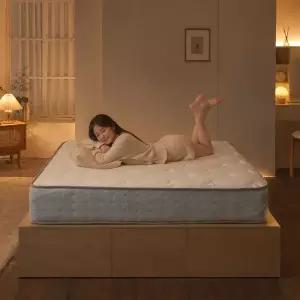 [보루네오하우스]보루네오 엘리브 제로노이즈 포켓 스프링 매트리스 22cm 킹 dm006