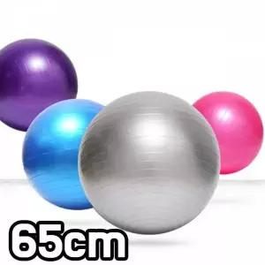 TBZ JT 짐볼 임산부 필라테스 65cm