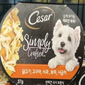 반려견 고단백 식사 자연 원재료 37g 고양이용 소형포장 간식