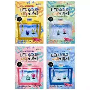 [콩심팥심]수족관 어항 LED 새우 사육 세트