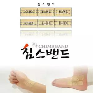 [침스] 침스밴드