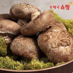 [우체국쇼핑] 솔바람농원 쫄깃한 식감의 가정용 정읍(내장산) 생표고버섯 1kg, 2kg