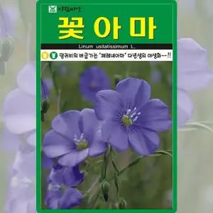 아람종묘 꽃아마 씨앗 200립 아마 꽃씨 다년생 야생화 종자