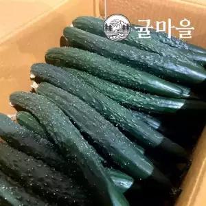 귤마을 가정용 가시오이 10kg