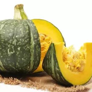 [햇살맞춤]산지직송 제주 미니 밤 단호박 5kg 10-17개 특과 보우짱 제주연가