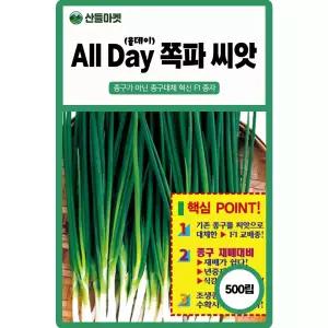 산들마켓 올데이 쪽파씨앗 500립 종구 대체 연중재배 가능 숙기 빠른 조생종 F1 고급 쪽파씨 종자