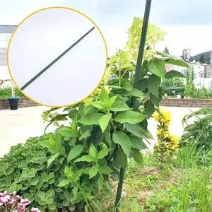 KGPQ33SP4A120cm 식물 오이지지대 3p 화분 굵은 텃밭