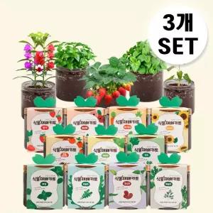3개세트 식물키우기 식물재배키트 방울토마토 딸기 고수 바질(10type)