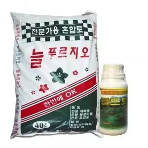 JHQSY3CG51C2대용량 분갈이 식물 활력액 세트 GWM