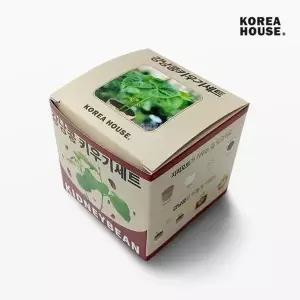 JHQS8HC44B강낭콩 홈가드닝 키우기세트 텃밭 기르기