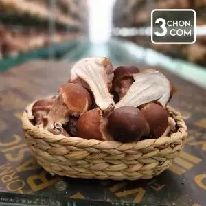 [삼촌밥먹자] 충북 무농약버섯 참송이 버섯 1kg 파지