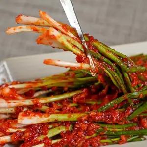HACCP인증 전라도김치 담양 죽향 프리미엄 파 김치 2kg