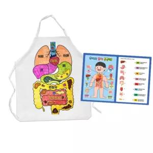 초등 저학년 내몸알기 수업 활동 몸속지도 앞치마 색칠놀이 만들기 미술시간 문화의집