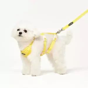프로젝트21 리프팅 하네스 S 강아지 관절 보호 가슴줄 소형견 뒷다리 슬개골 탈구 프로젝트21 관절 보호 하