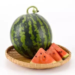 국내산 하우스 수박 고당도 신선 과일 산지직송 4kg 5kg 6kg 7kg